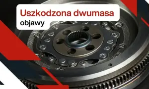 Uszkodzona dwumasa objawy: wibracje, stuki, problemy ze sprzęgłem. Zobacz, jak rozpoznać awarię dwumasy.